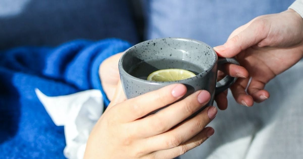 rimedi raffreddore estivo tisana