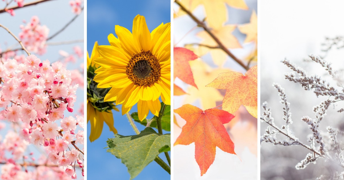 quando prendere il rame colloidale