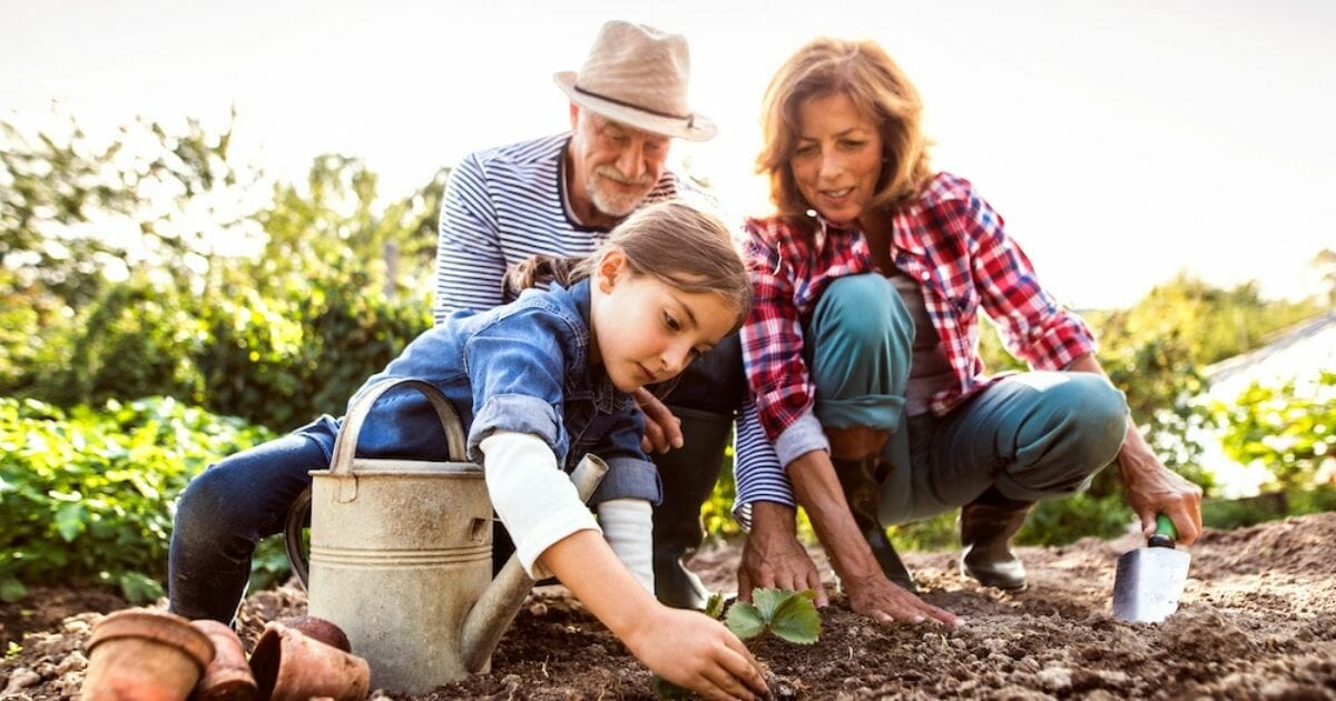 migliori integratori per anziani